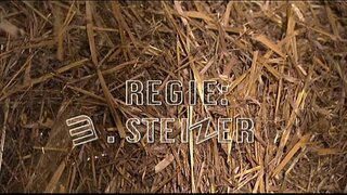 ���ារ Senne Lutschi