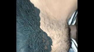 ���ినడం నా తిరుగుబోతు కారు