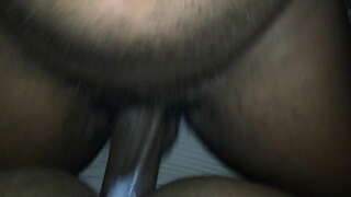 Шеҥгелне кӱтӱчылан Супер ночко киска