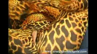 Verrückte spandex Meedchen necken sex