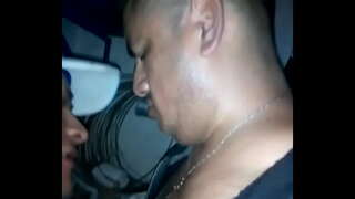 Jackal in the bathroom