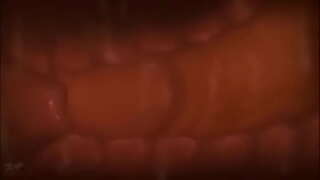 Ӓвӓ пи-акыланым